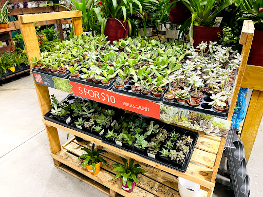 Home Improvement Store «The Home Depot», reviews and photos, 30144 US Hwy 19 N, Clearwater, FL 33761, USA