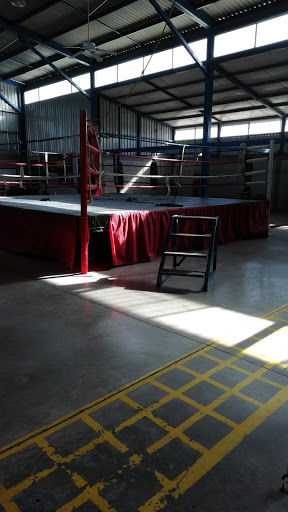 Cóndor gimnasio de boxeo