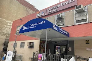 NYC Health + Hospitals/Gotham Health, Sydenham image