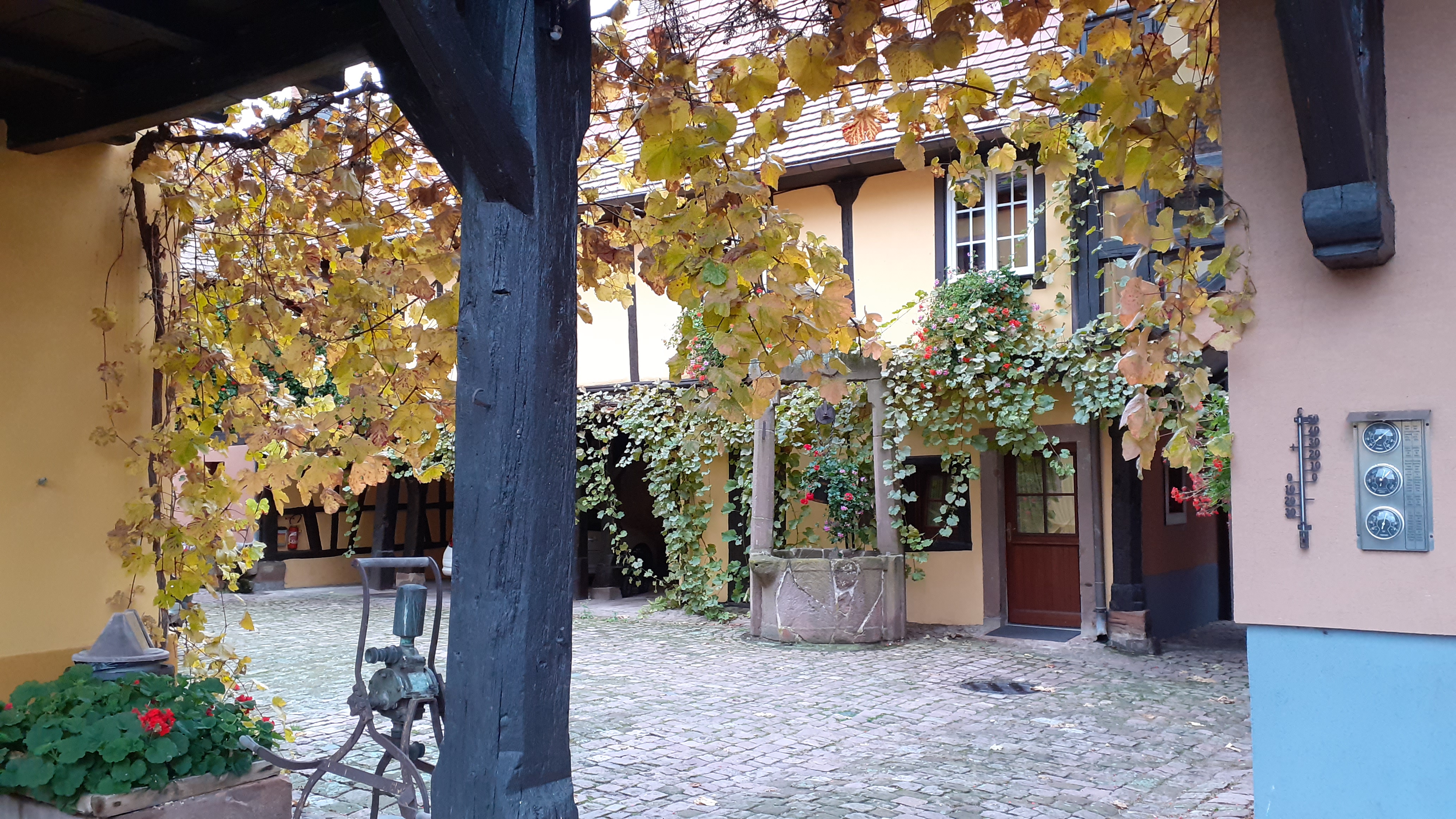 Photo n° 10 de l'avis de Carlos. fait le 31/10/2021 à 10:43