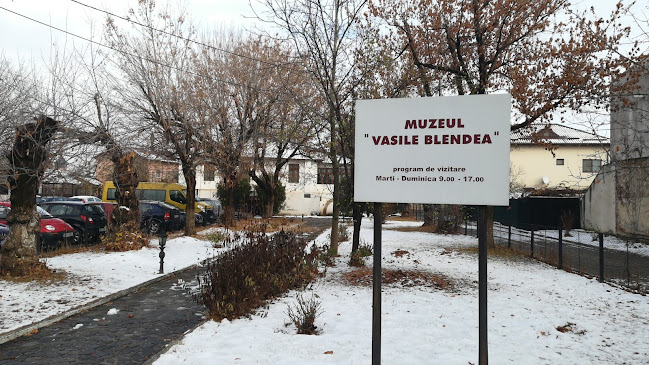 Opinii despre Casa Atelier Vasile Blendea în <nil> - Muzeu