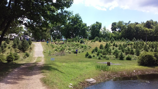 Outdoor Sports Store «Maple Hill Disc Golf», reviews and photos, 132 Marshall St, Leicester, MA 01524, USA