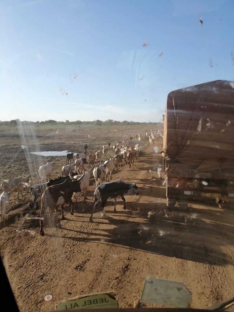 Bentiu, Güney Sudan