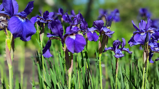 Theme Park «The Great Escape & Splashwater Kingdom», reviews and photos, 89 Six Flags Dr, Queensbury, NY 12804, USA