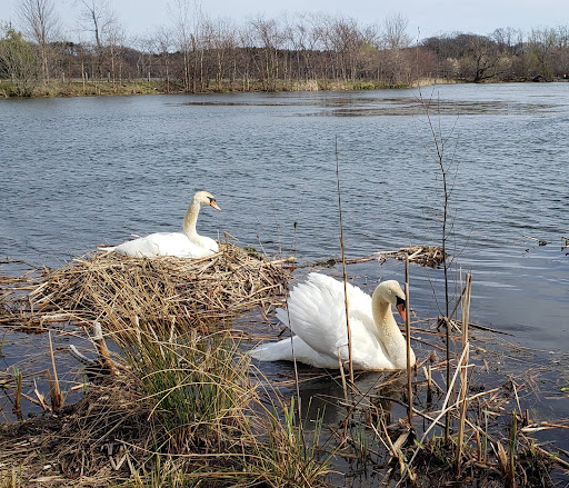 Golf Course «Fresh Pond Golf Course», reviews and photos, 691 Huron Ave, Cambridge, MA 02138, USA