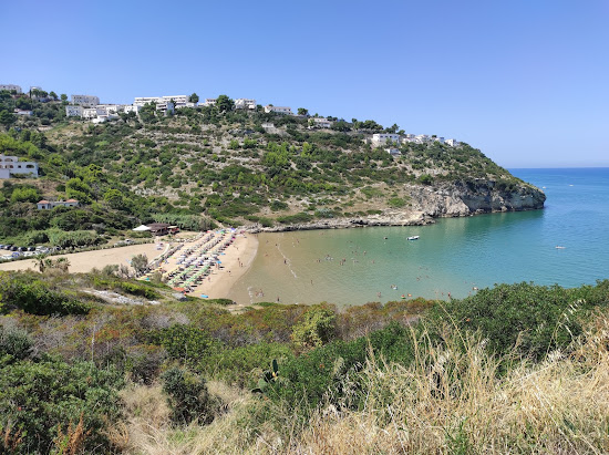 Spiaggia di Procinisco