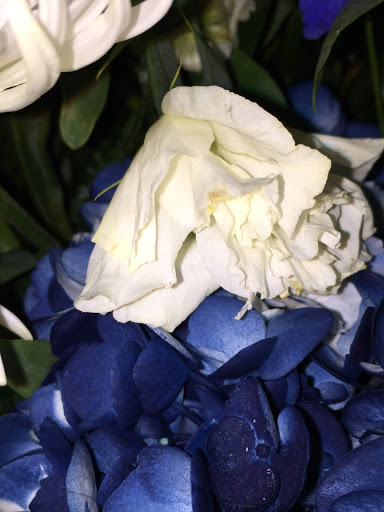 Florist «Blossom Flower Shop», reviews and photos, 906 N Frazier St, Conroe, TX 77301, USA