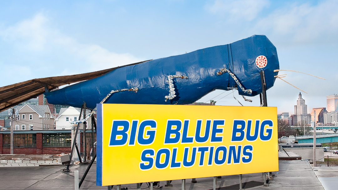 Big Blue Bug Solutions