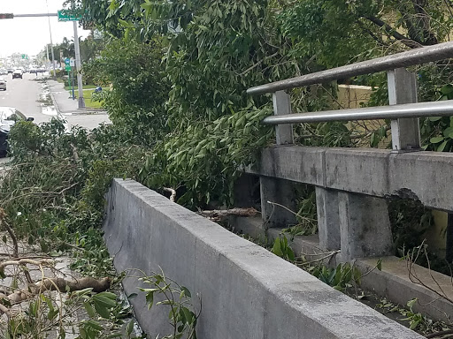 Park «Griffing Park», reviews and photos, 12220 Griffing Blvd, North Miami, FL 33161, USA