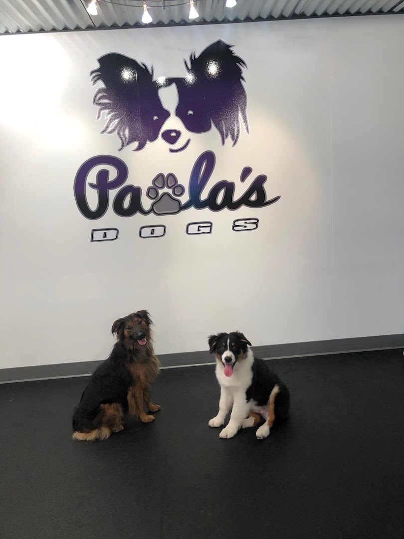 Paula's Dog Services