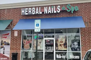 Herbal Nails & Spa image