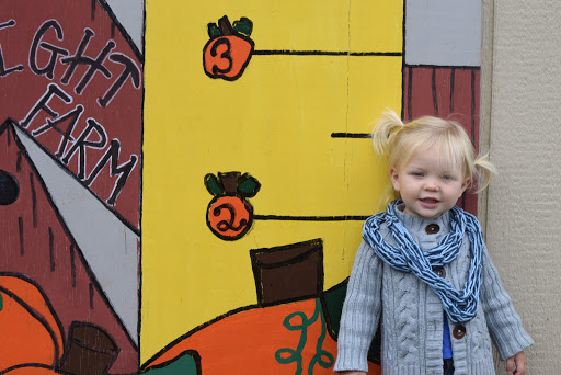 Farm «Wright Family Farm», reviews and photos, 329 Kings Hwy, Warwick, NY 10990, USA