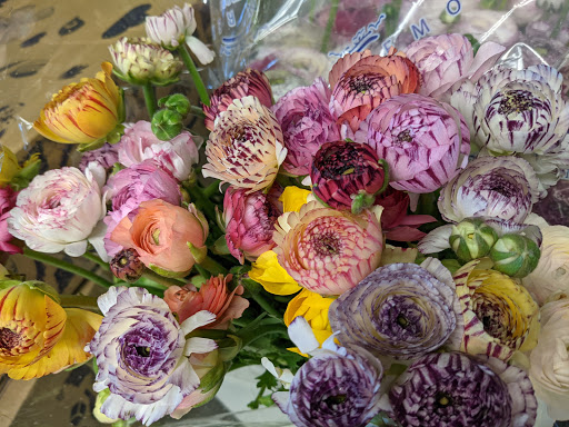 Florist «Austin Flower Co», reviews and photos, 1612 W 35th St, Austin, TX 78703, USA