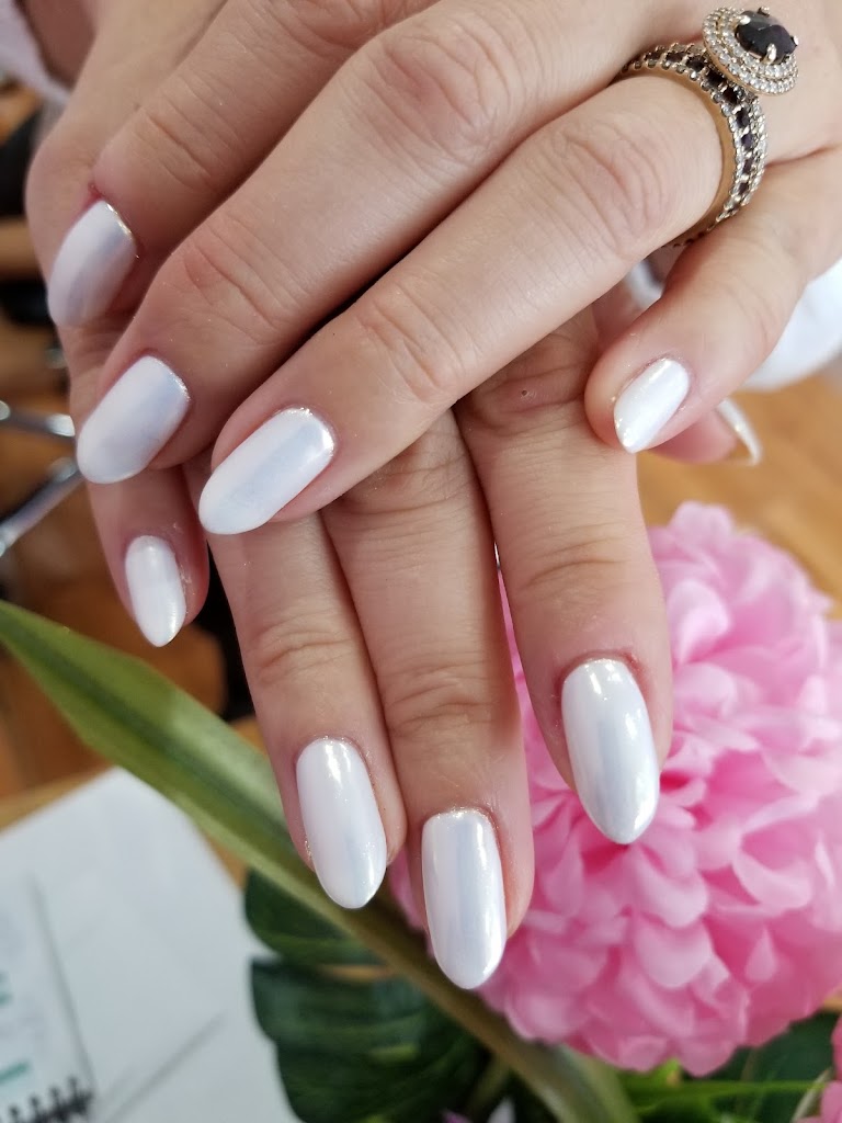 Opal Nails Spa 60609