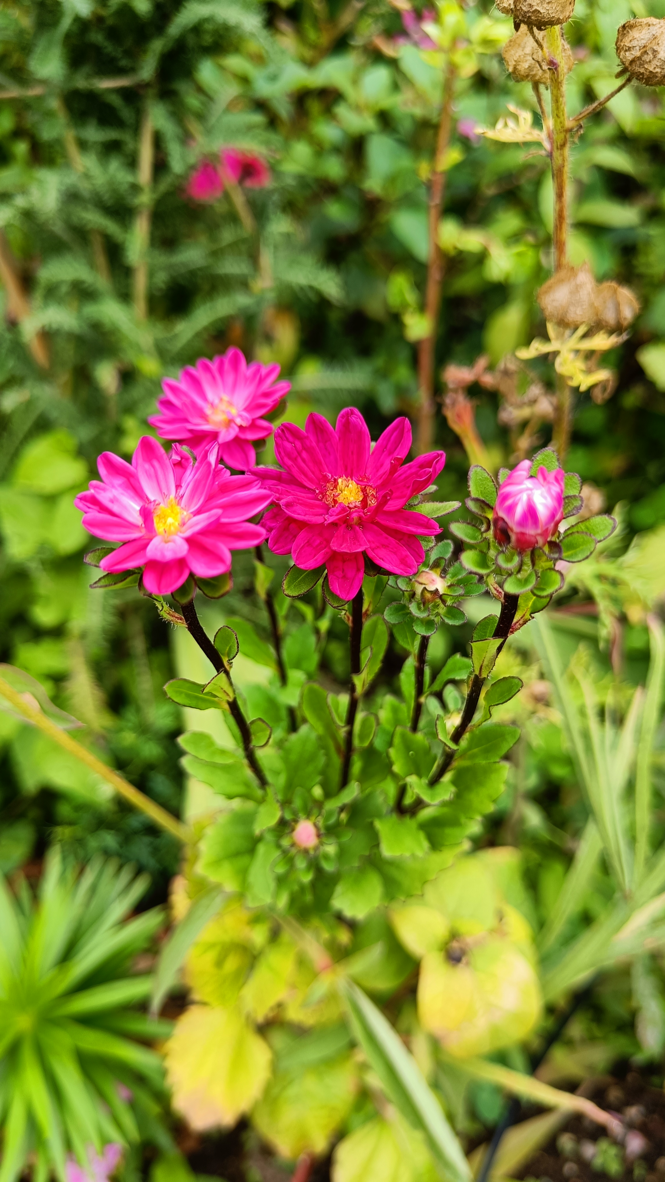 Photo n° 41 de l'avis de Eliot.o fait le 28/07/2023 à 16:35