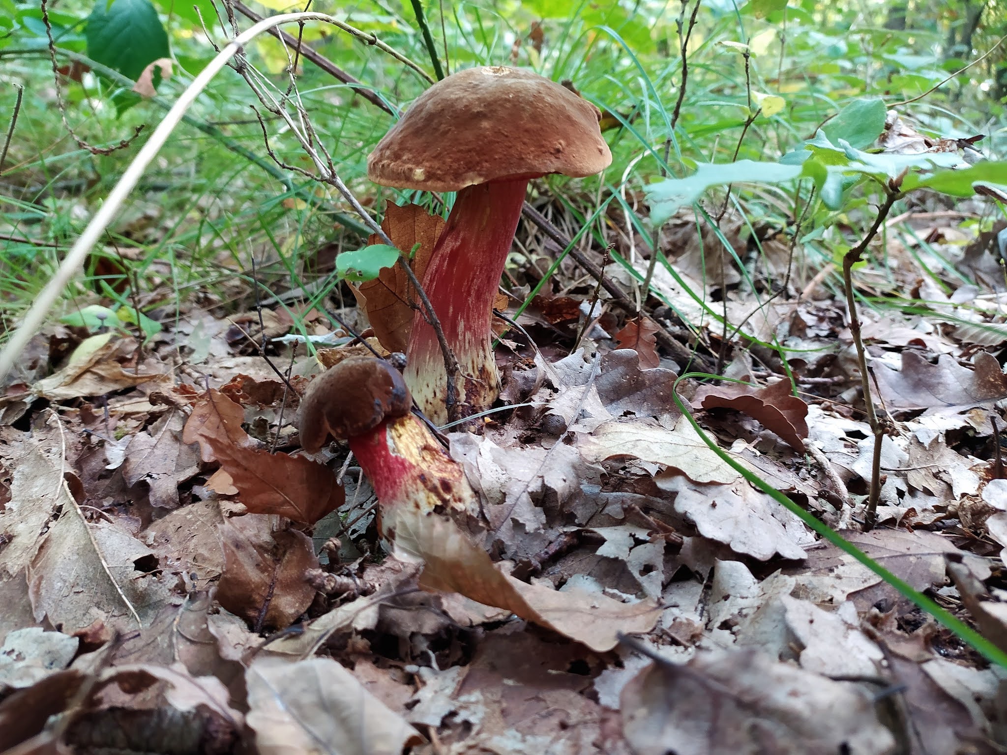Photo n° 15 de l'avis de François. fait le 21/11/2021 à 12:37
