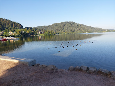 SAS du lac à la cascade à Gérardmer