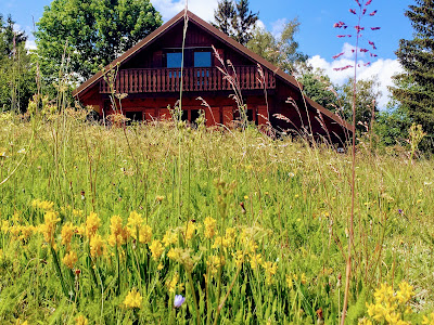 Les Chalets de la Mauselaine - Gérardmer, Location toute l'année à Gérardmer