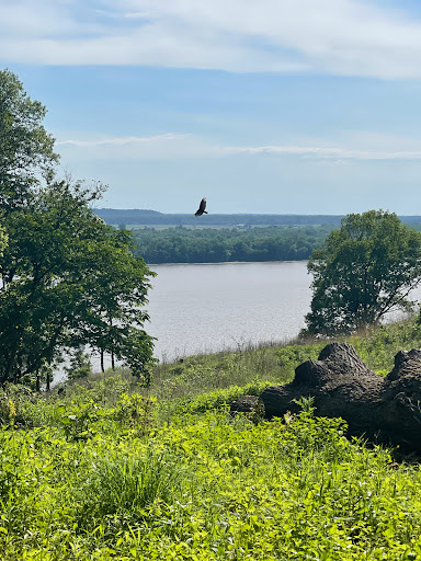 Nature Preserve «John M Olin Nature Preserve», reviews and photos, 2213 South Levis Lane, Godfrey, IL 62035, USA