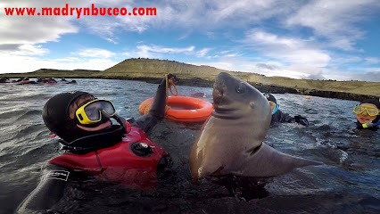 Madryn Buceo