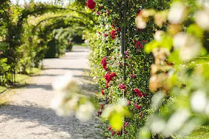 Britz Garden - Rose Garden image