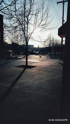 Self-Storage Facility «Roosevelt Self Storage», reviews and photos, 6910 Roosevelt Way NE, Seattle, WA 98115, USA