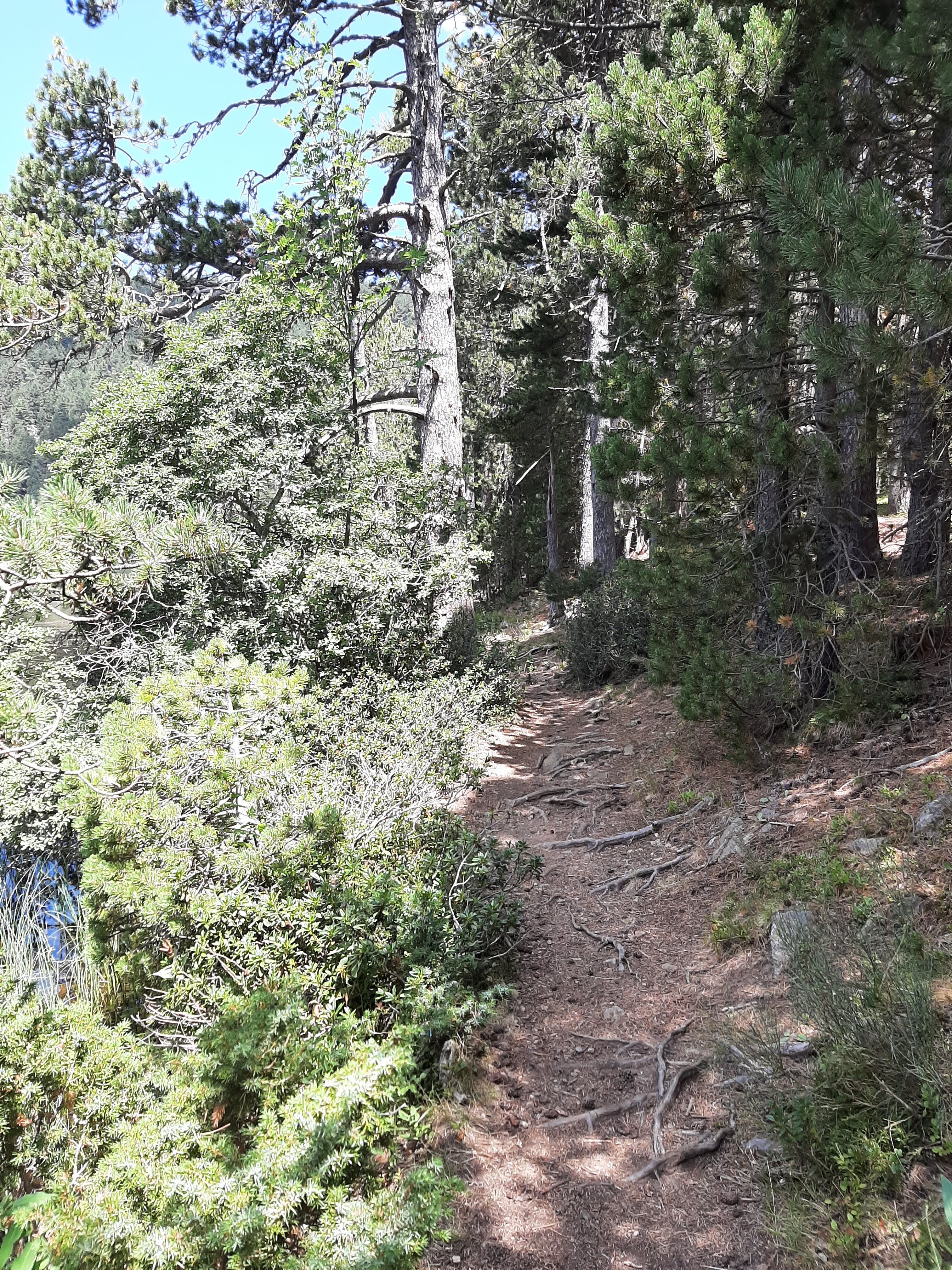 Photo n° 13 de l'avis de Xavier.o fait le 05/10/2022 à 18:02