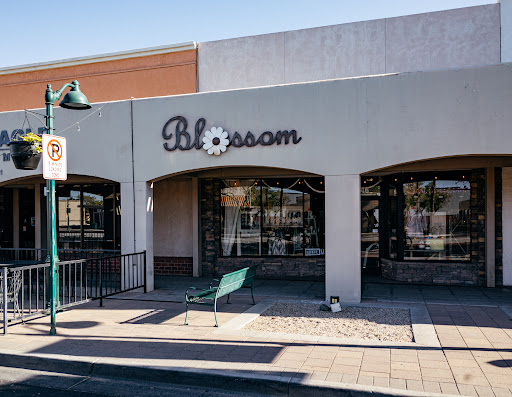 Hair Salon «Desert Blossom Salon & Boutique», reviews and photos, 146 W Main St, Mesa, AZ 85201, USA