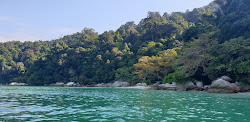 Coral Beach'in fotoğrafı doğal alan içinde bulunmaktadır