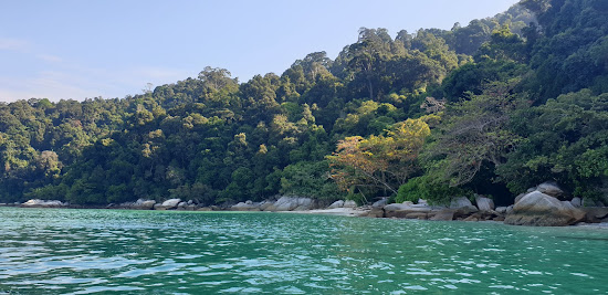 Coral Beach