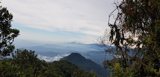 Cerro Pico de Loro