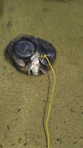 Furniture Store «Casa Leaders Furniture», reviews and photos, 1000 N Tustin Ave, Anaheim, CA 92807, USA