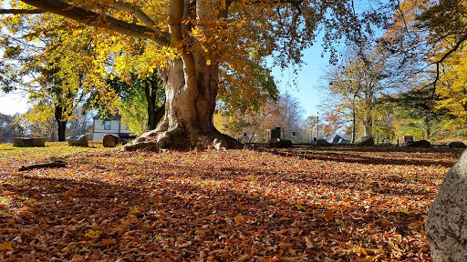 Wedding Venue «Highfield Hall & Gardens», reviews and photos, 58 Highfield Dr, Falmouth, MA 02540, USA