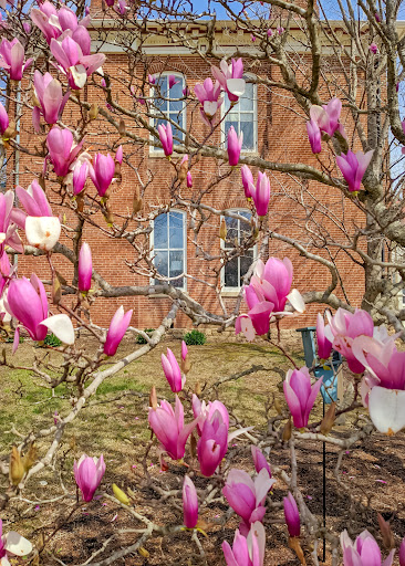 Nature Preserve «Shaw Nature Reserve», reviews and photos, 307 Pinetum Loop Rd, Gray Summit, MO 63039, USA