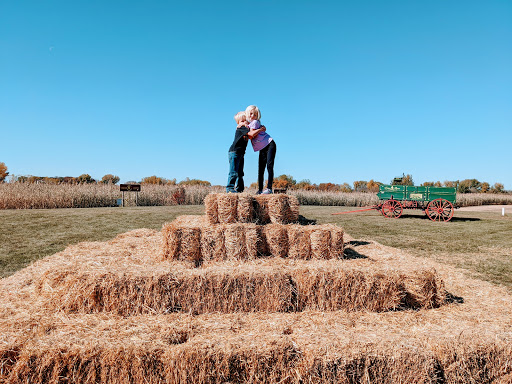 Winery «Crow River Winery», reviews and photos, 14848 MN-7, Hutchinson, MN 55350, USA