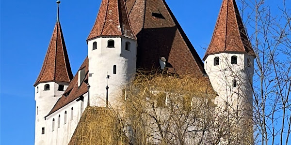 Schloss Thun