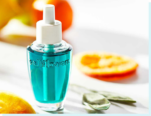 Beauty Supply Store «Bath & Body Works», reviews and photos, 12762 Riverdale Blvd, Coon Rapids, MN 55448, USA