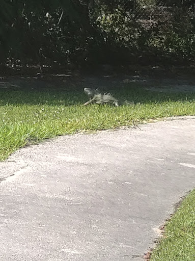 Park «Oak Lake Park», reviews and photos, 3190 N 56th Ave, Hollywood, FL 33021, USA