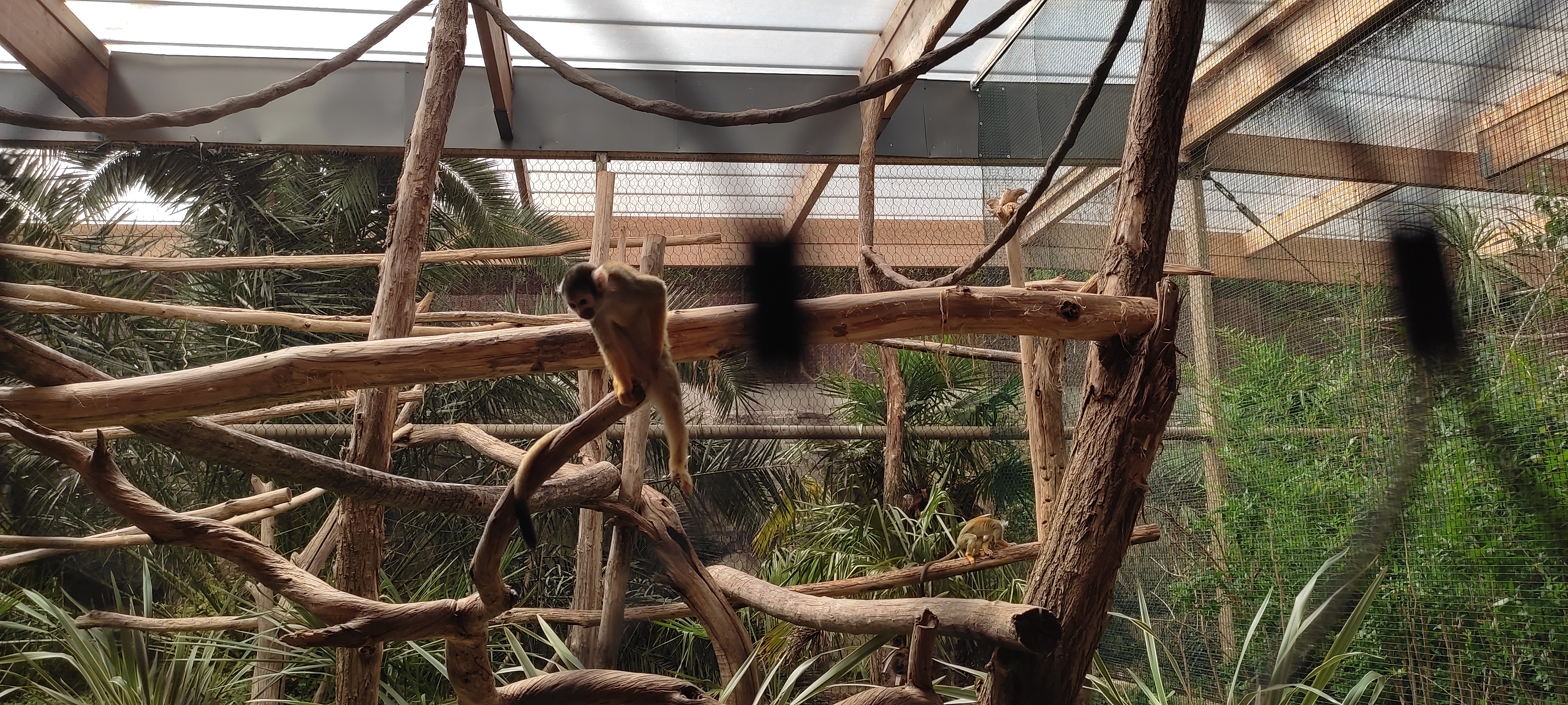 Photo n° 2 de l'avis de albane16.c fait le 16/07/2022 à 20:11