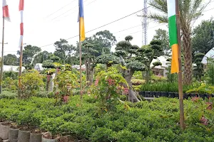 Taman Bunga Lembang Cihideung image