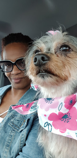 Pet Supply Store «PetSmart», reviews and photos, 5 Main St, East Hartford, CT 06118, USA