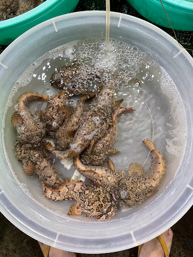 Top 20 cửa hàng play Huyện Cần Giờ Hồ Chí Minh 2022