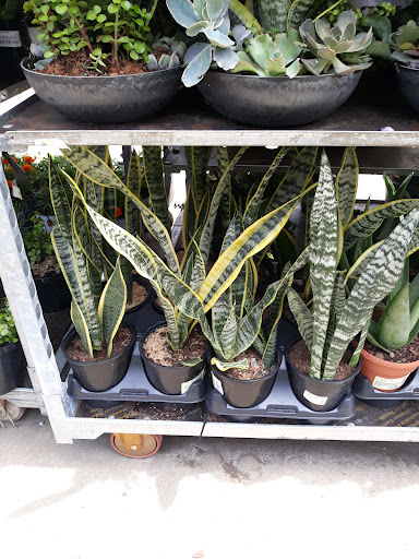 Home Improvement Store «The Home Depot», reviews and photos, 1336 Bristol Pike, Bensalem, PA 19020, USA