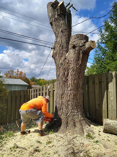 Maxwell's Tree Service