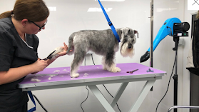 Mutts and Style Dog Grooming