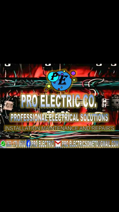 PRO ELECTRIC COMPANY