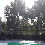 Photo n°1 de l'avis de Umberto.i fait le 10/09/2021 à 04:11 sur le  Agriturismo Cà Persiane sul lago di Garda à Cavaion Veronese