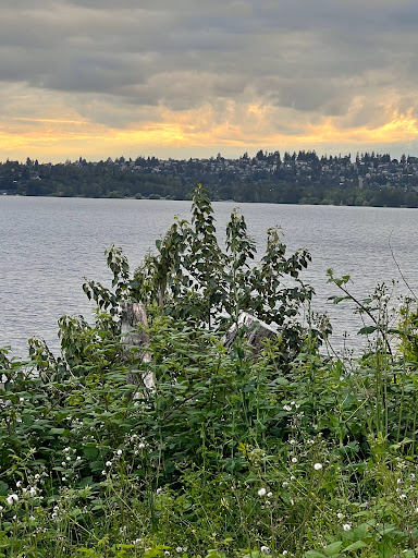 Park «Heritage Park», reviews and photos, 111 Waverly Way, Kirkland, WA 98033, USA