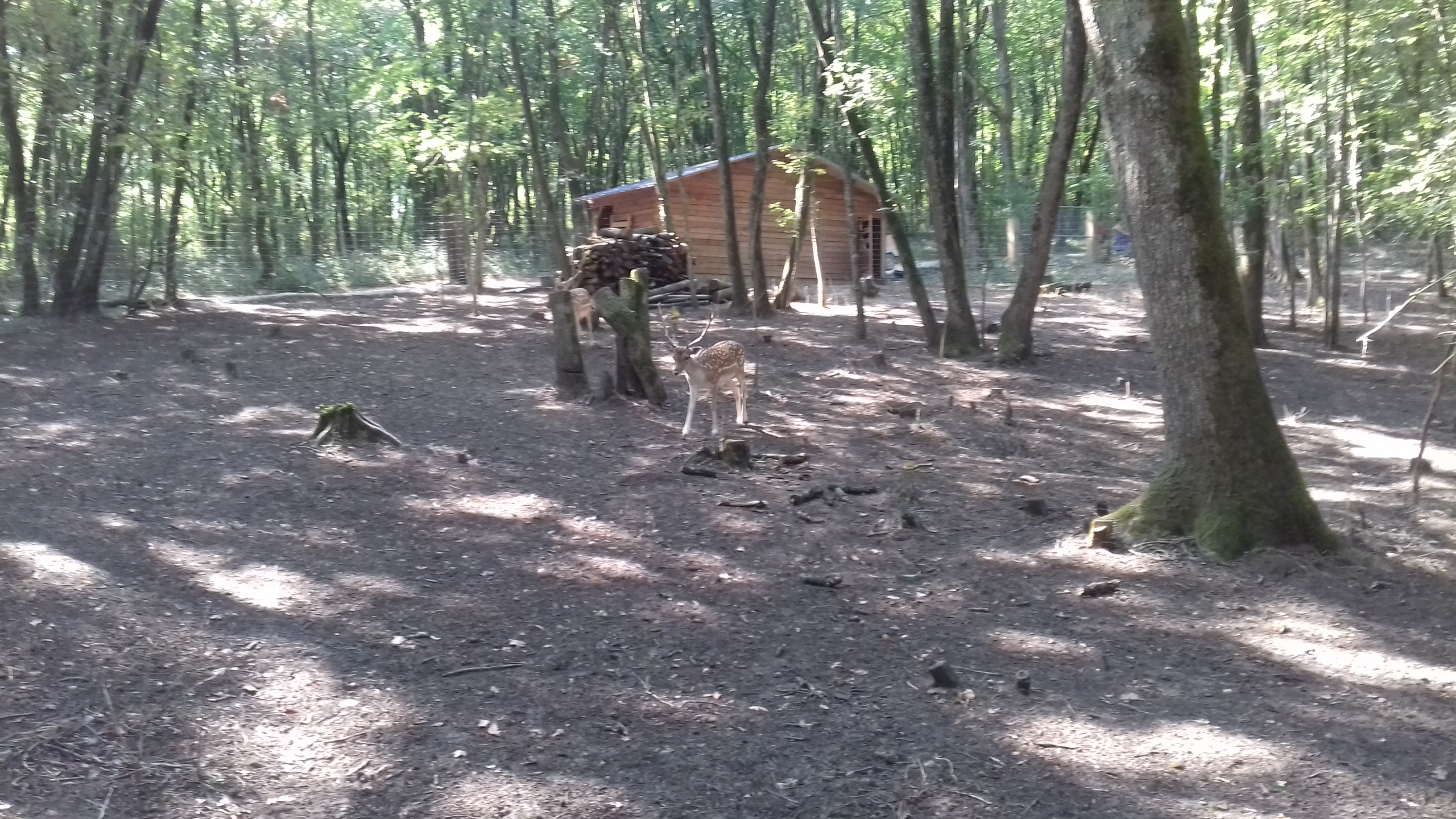 Photo n° 33 de l'avis de Laurent.o fait le 20/08/2018 à 10:25