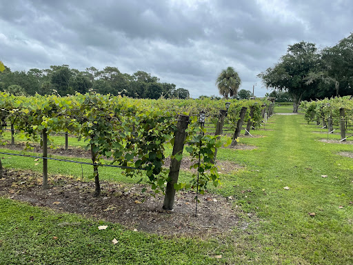 Winery «Fiorelli Winery», reviews and photos, 4250 Co Rd 675, Bradenton, FL 34211, USA